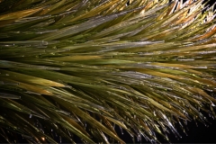 MFA Glass Tree Detail